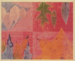 Card for PMFS