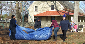 2024 Leaf raking