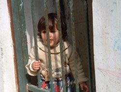 News from Our Friends in Palestine and Israel